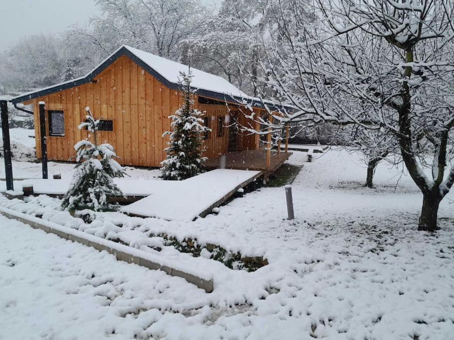 Villa Nica Wood Sremska Kamenica Exterior foto