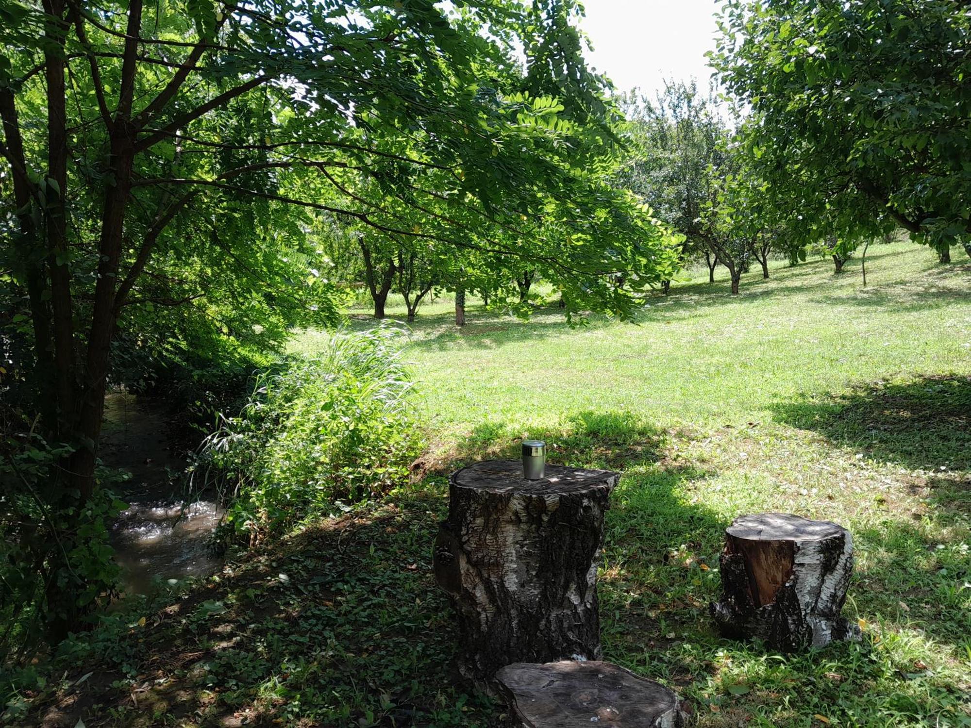 Villa Nica Wood Sremska Kamenica Exterior foto