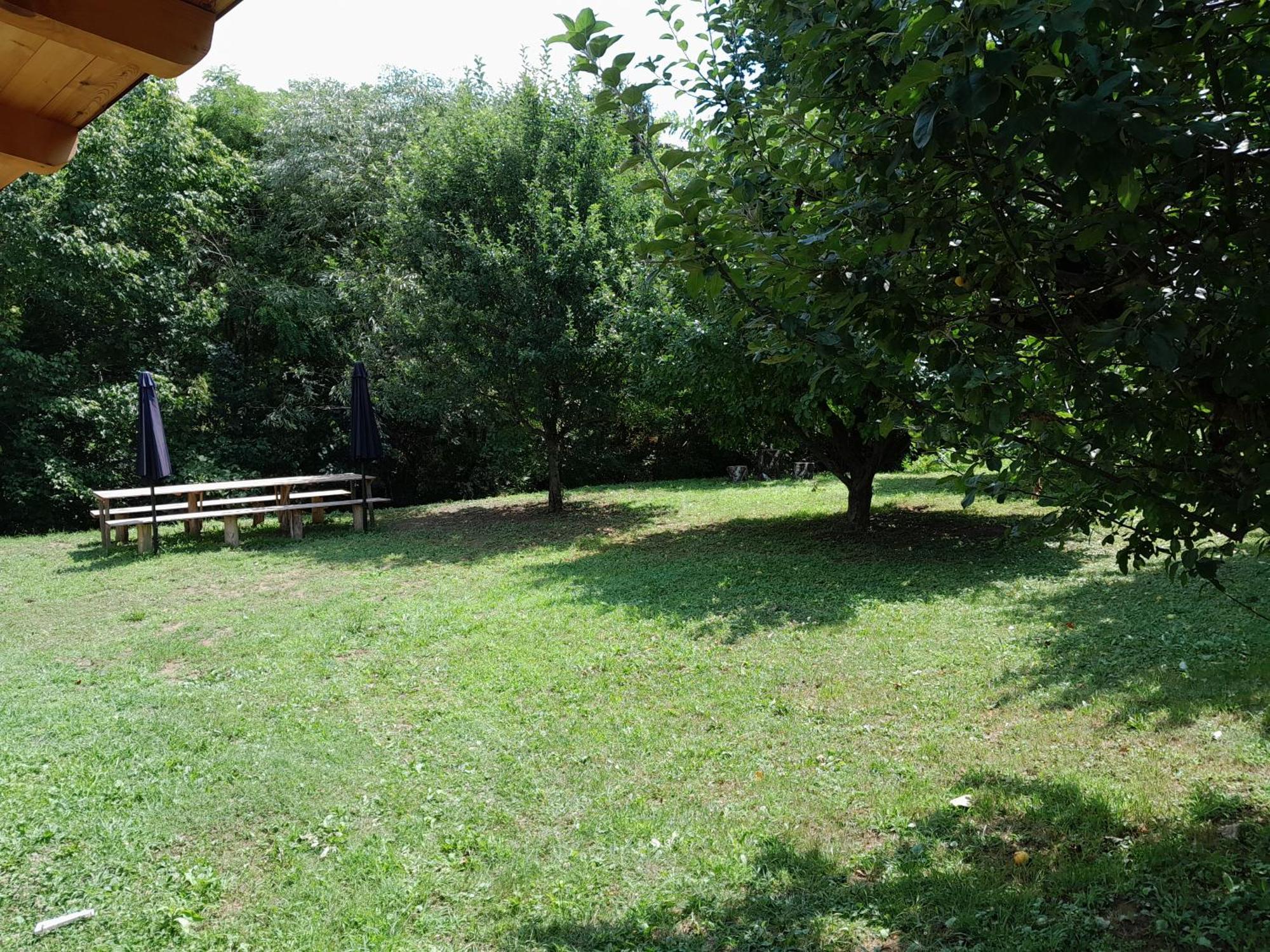 Villa Nica Wood Sremska Kamenica Exterior foto