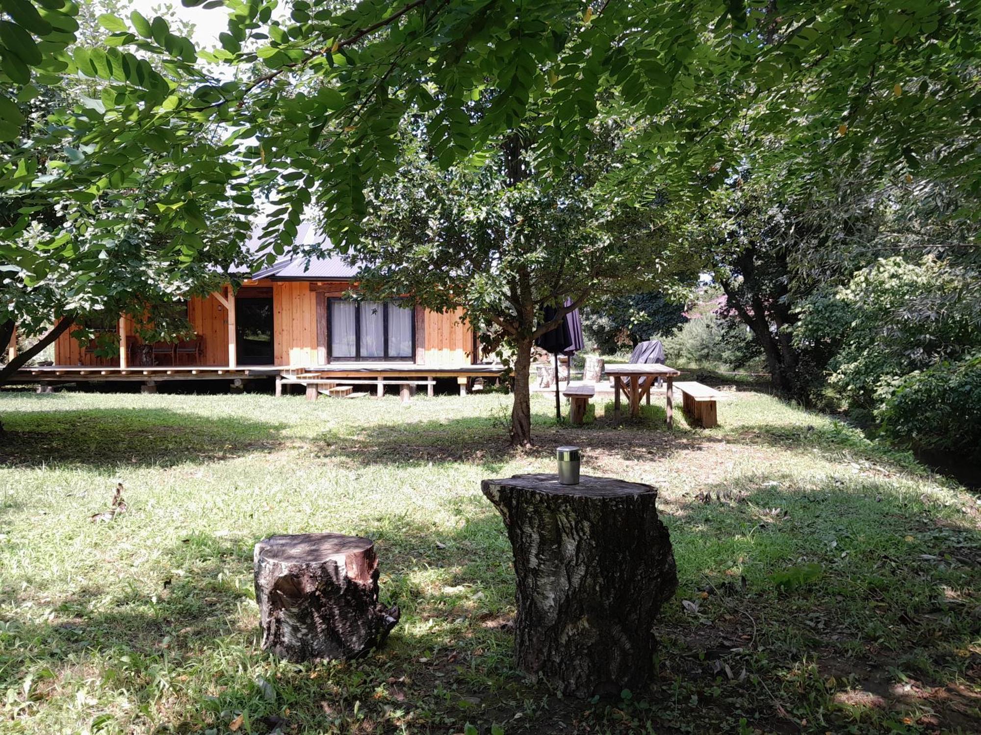 Villa Nica Wood Sremska Kamenica Exterior foto